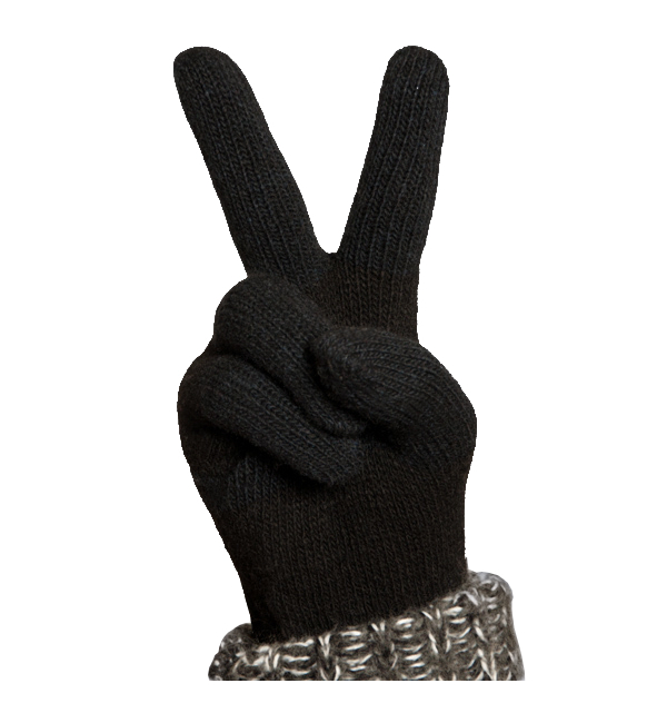  Теплые перчатки для сенсорных дисплеев iGlover Nord M Black