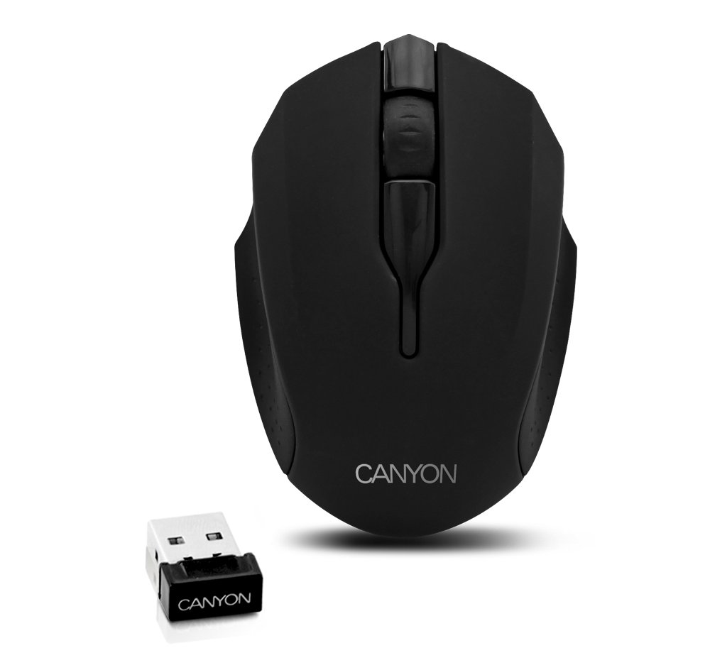 Canyon Мышь беспроводная Canyon CNR-FMSOW01 Black USB