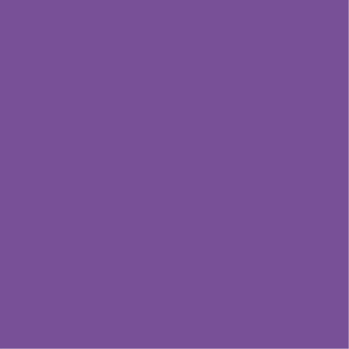  Colorama 2.72x11m Royal Purple CO192