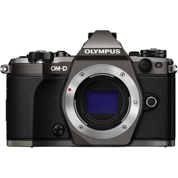 Olympus Фотоаппарат Olympus OM-D E-M5 Mark II Body Limited Edition Titanium