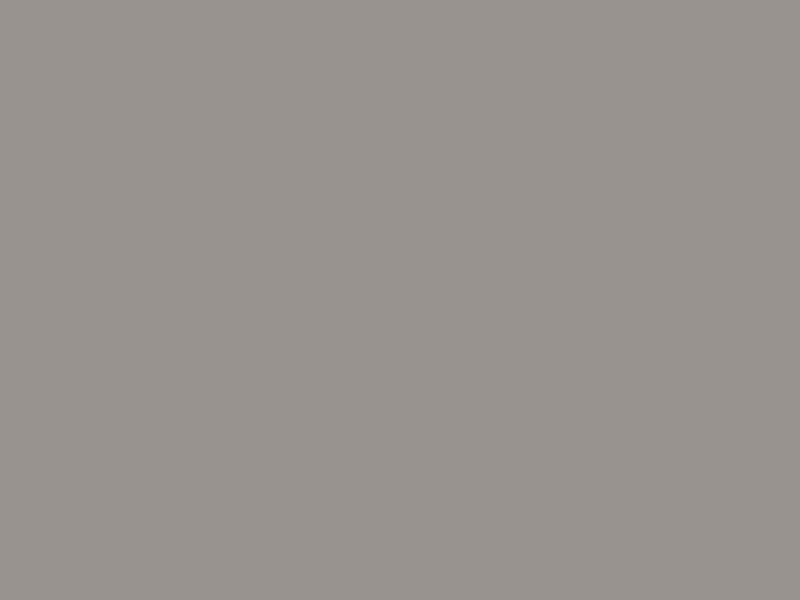  ПРОФЕССИОНАЛ 1.4x2.0m Grey PF1201-1412