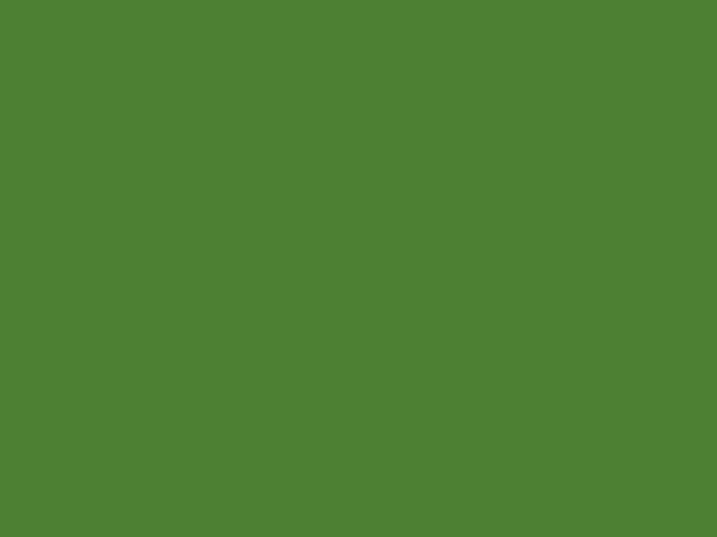  ПРОФЕССИОНАЛ 1.4x2.0m Green PF1201-1404