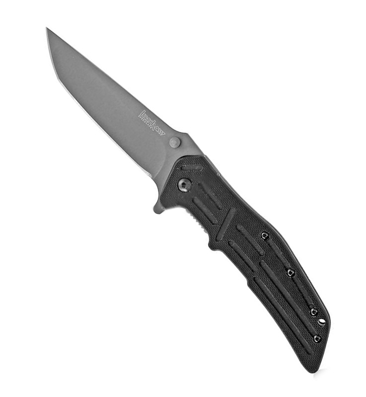  Kershaw 1985 RJI