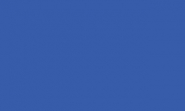  ПРОФЕССИОНАЛ 1202-1004 1.0x1.4m Blue PF1202-1004