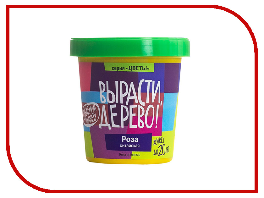 фото Растение Вырасти дерево! Роза китайская, Крылья ангелов zk-050