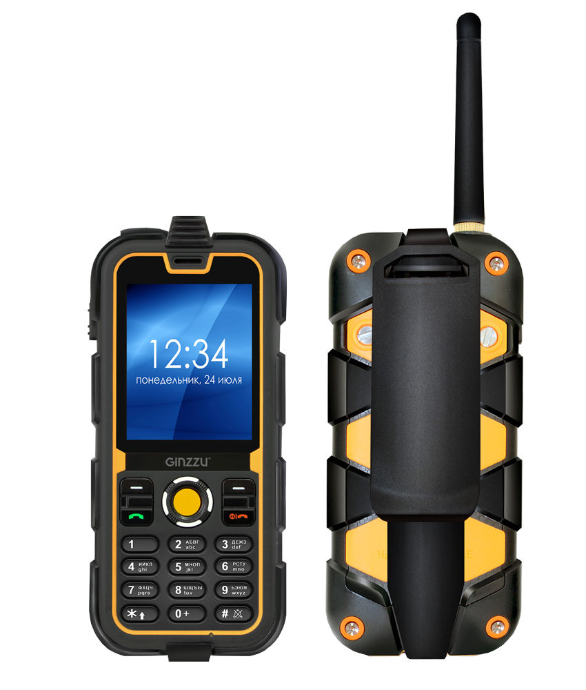 Сотовый телефон Ginzzu R62