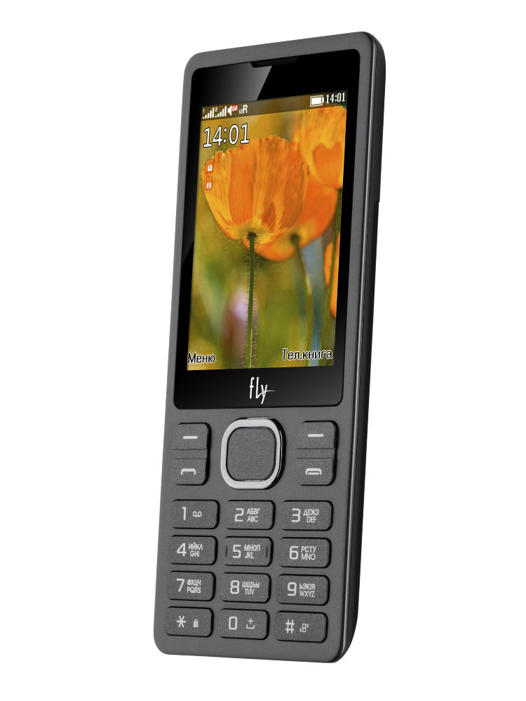 Сотовый телефон Fly FF282 Black