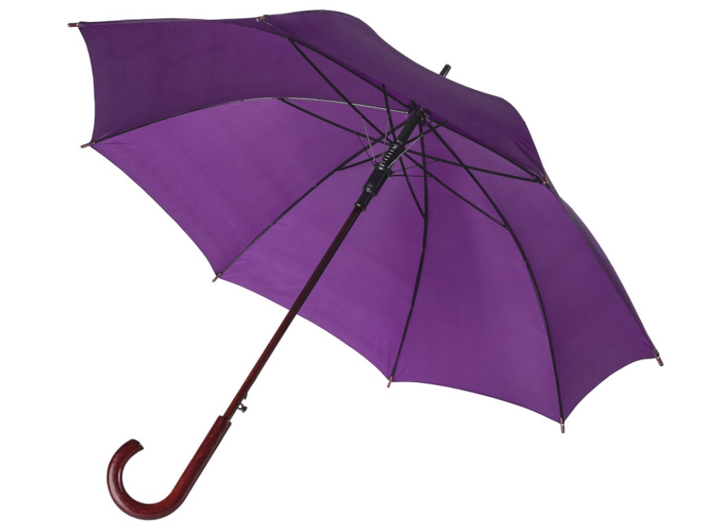 Зонт Molti Standard Purple 12393.77