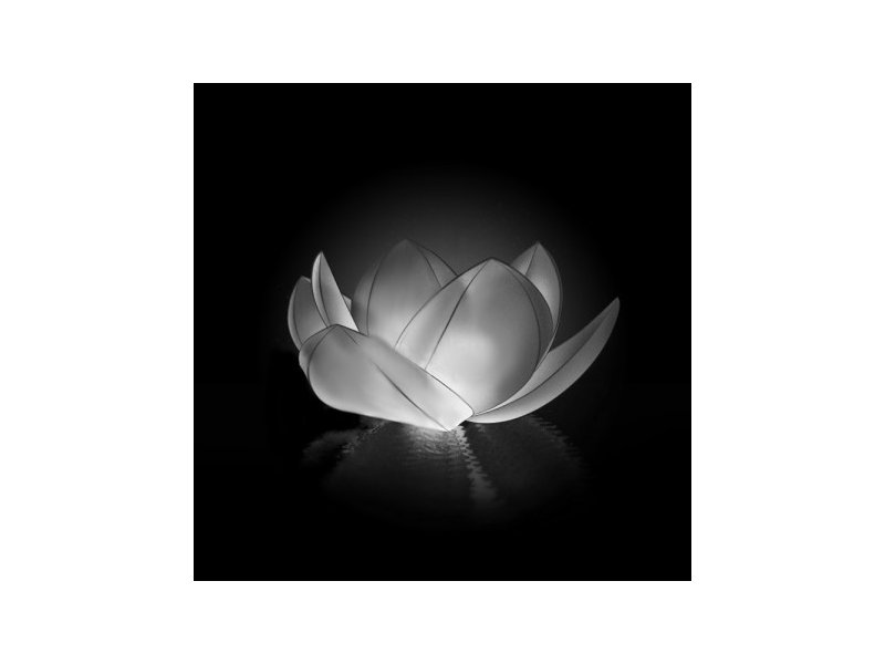 Nebofon - Небесный фонарик желаний Nebofon Водная лилия White