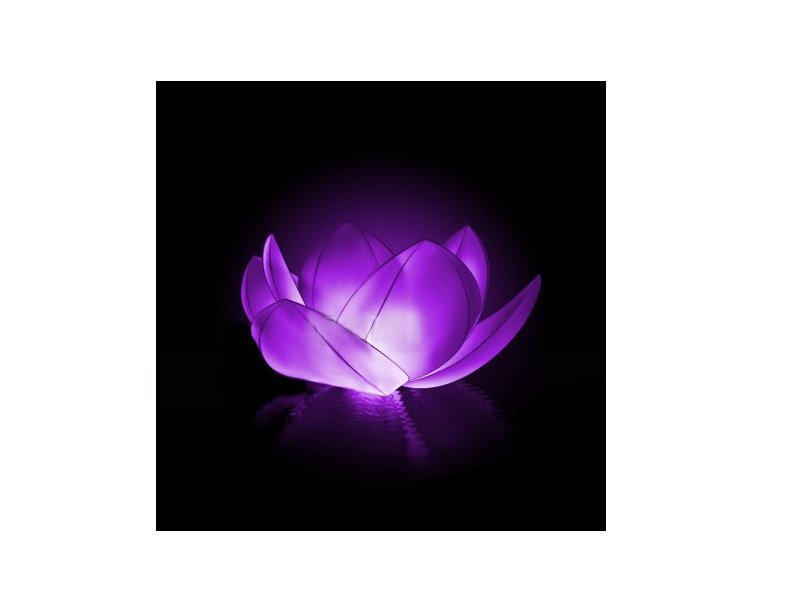  Небесный фонарик желаний Nebofon Водная лилия Purple