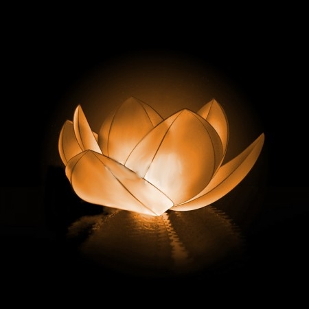 Nebofon - Небесный фонарик желаний Nebofon Водная лилия Orange