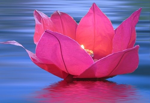 Nebofon - Небесный фонарик желаний Nebofon Водная лилия Pink