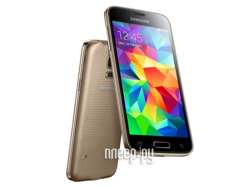  Samsung SM-G800F Galaxy S5 mini LTE Gold  10131 