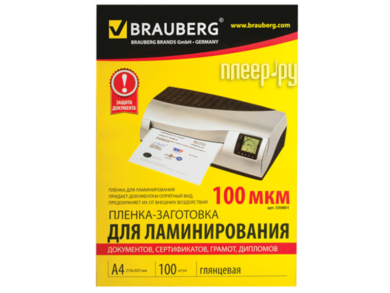    BRAUBERG A4 100 530801 