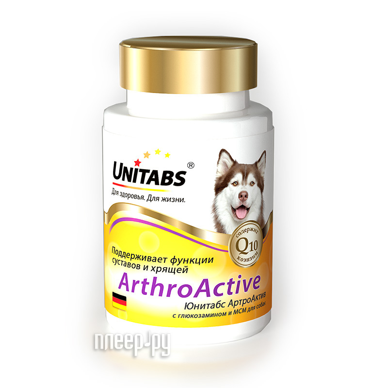  Unitabs Arthro Active c Q10 100       U201
