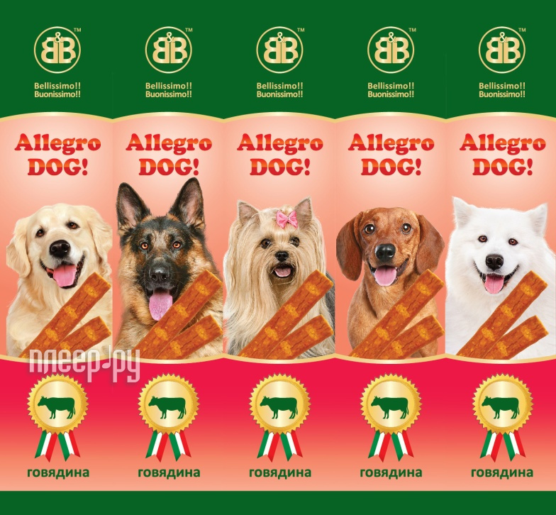  B&B Allegro Dog     (5) 36447  120 