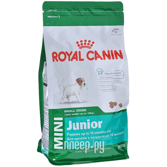  ROYAL CANIN MINI Junior APR-33 800g     305801 