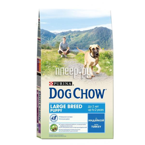  Dog Chow Puppy Large Breed  2.5kg     12308766 