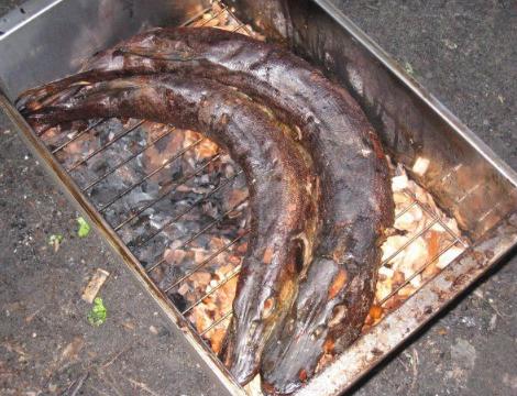 Копчение щуки в домашних условиях Копчение щуки в домашних условиях