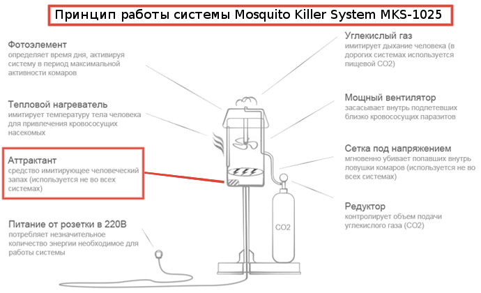 Переделка на дачном участке своими руками, идеи и советы Очищение кожи лица утром и вечером Секреты