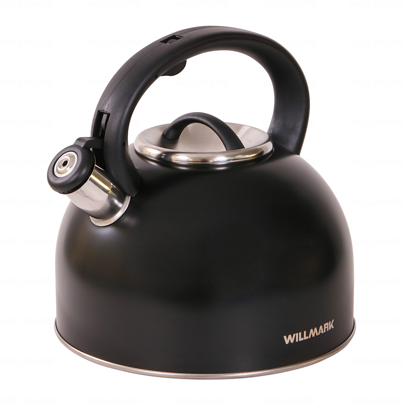 Чайник Willmark WTK-4810SS 4L