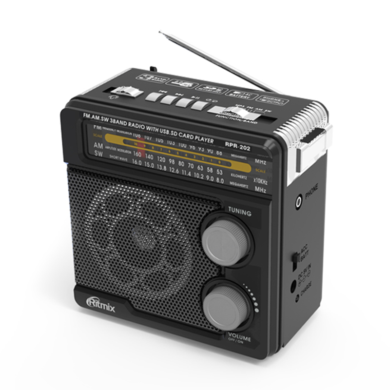 цена Радиоприемник Ritmix RPR-202 Black