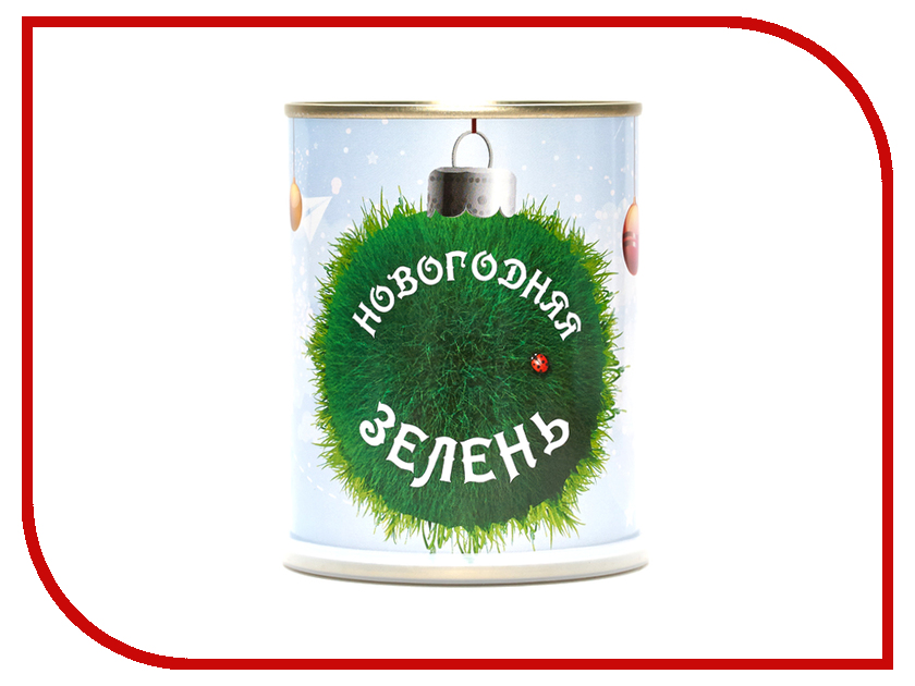 

Растение BontiLand Новогодняя зелень 412675