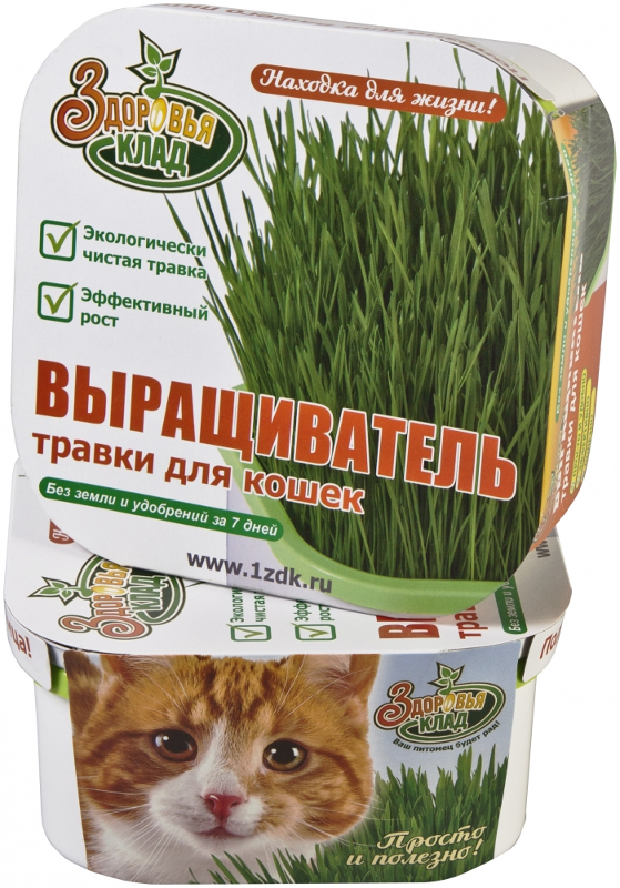 фото Аэросад Здоровья клад для зеленой травки для кошек