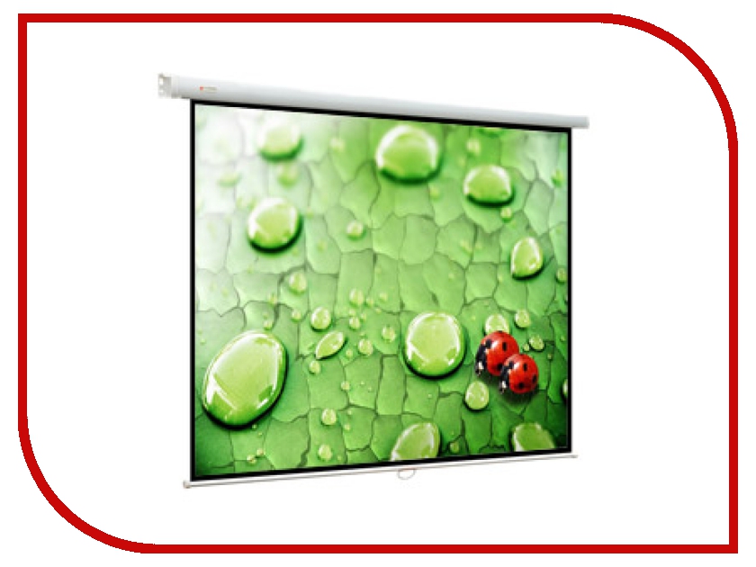 

Экран Viewscreen Lotus WLO-4303
