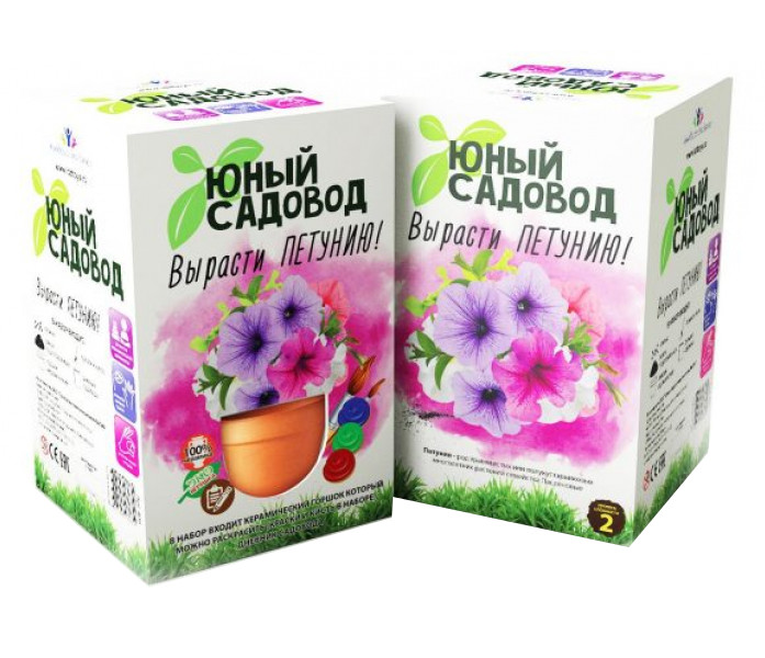 

Растение Висма Юный садовод, Вырасти петунию 409, Вырасти петунию 409