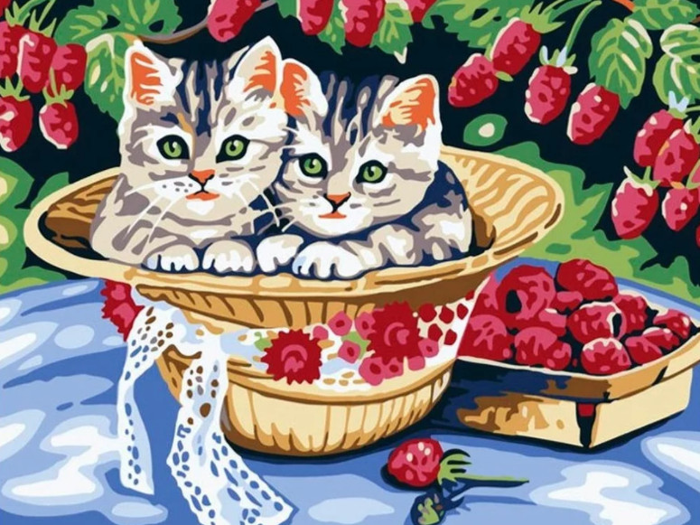 

Картина по номерам Белоснежка Котята в саду 013-CE, Котята в саду 013-CE