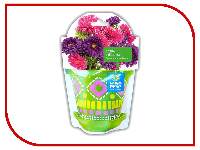 

Растение Happy Plant Астра звездная hpd-6