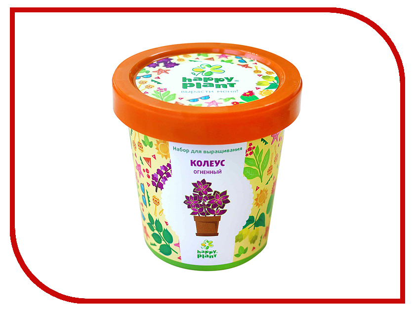 

Растение Happy Plant Горшок Колеус огненный hpn-1