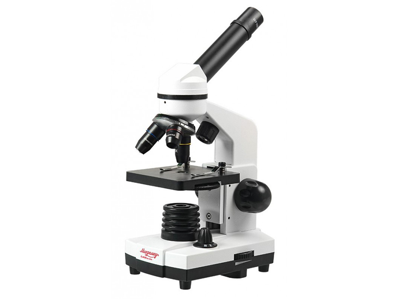 Микроскоп Микромед Атом 40x-800x в кейсе микроскоп микромед эврика 40x 320x amethyst