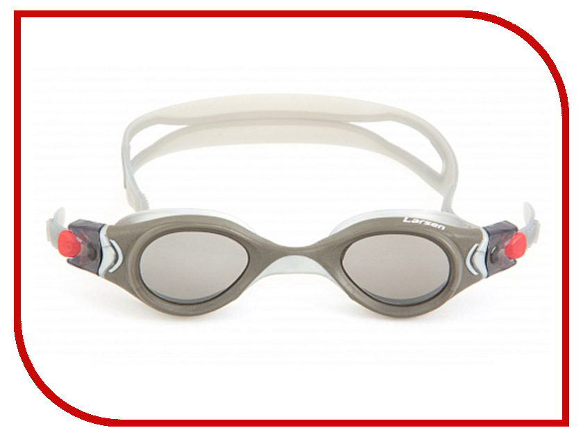 

Очки Larsen S45P Silver