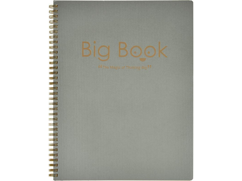 

Бизнес-тетрадь Attache Selection Big Book А4+ 80 листов Silver 419981, Big Book