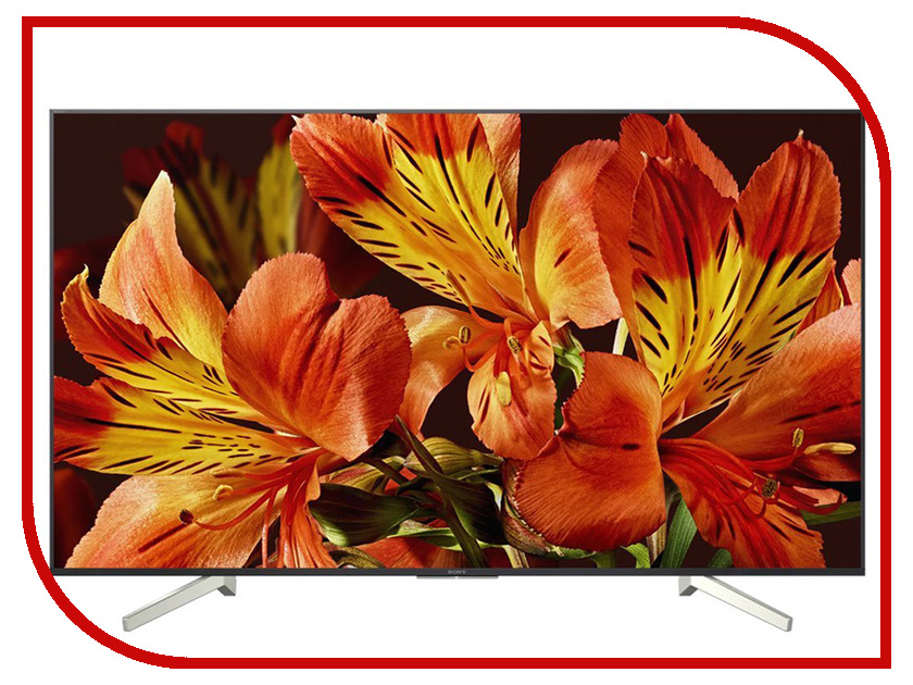 

Телевизор Sony KD-55XF8596, KD-55XF8596