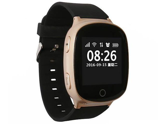 

Wonlex EW100S Gold, EW100S