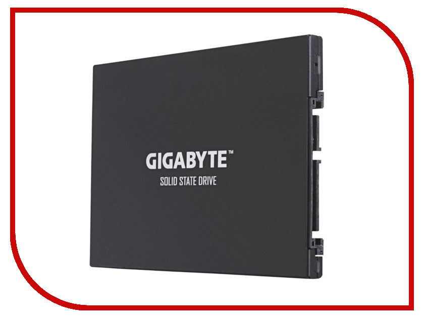

Жесткий диск GIGABYTE UD PRO 256GB, GP-GSTFS30256GTTD