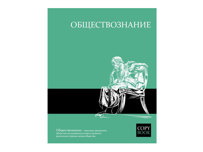 

Тетрадь Феникс+ A5 48 листов Обществознание 47071, Обществознание