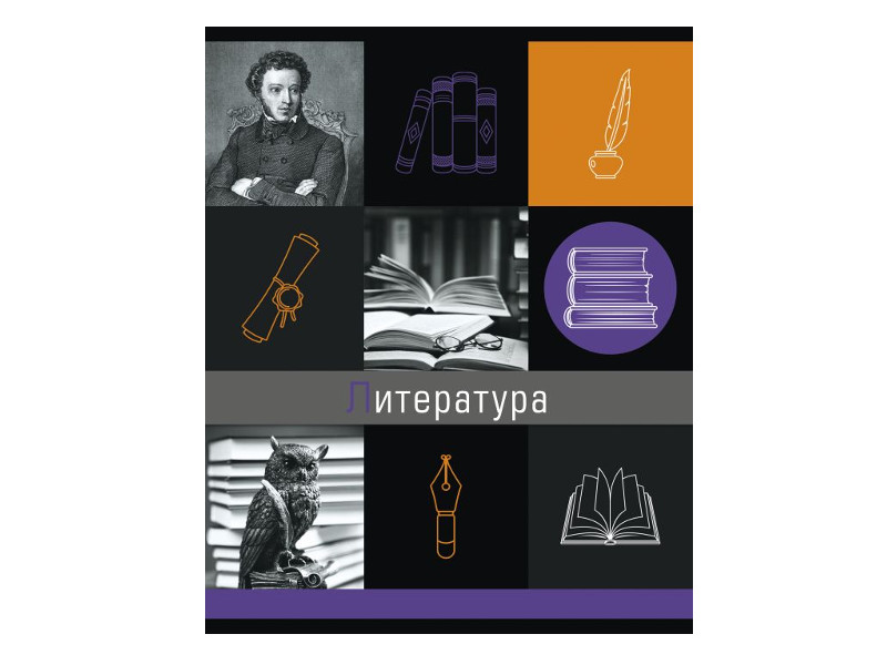 

Тетрадь Феникс+ A5 48 листов Литература 47057, Литература