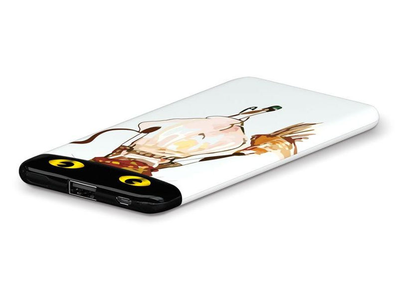 

Аккумулятор Hiper Power Bank EP6600 Lady Cat 6600mAh, EP6600