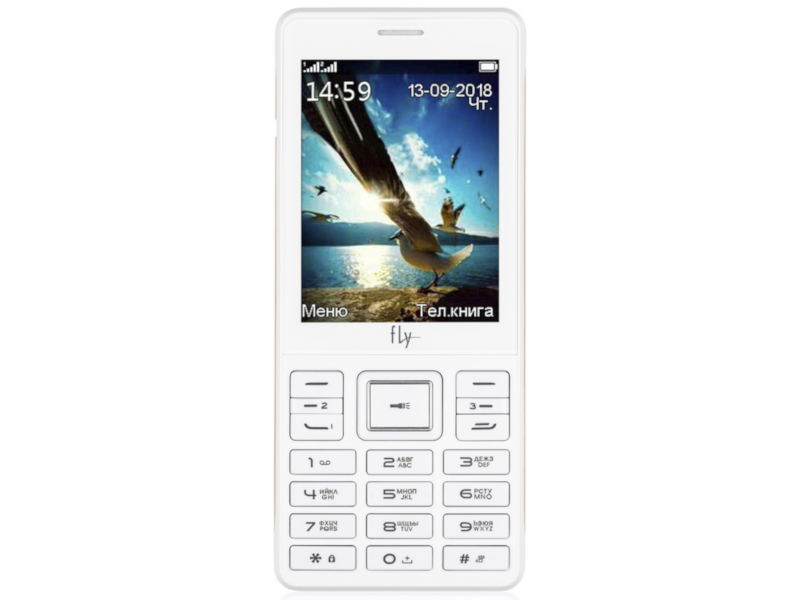 

Сотовый телефон Fly TS114 White, TS114