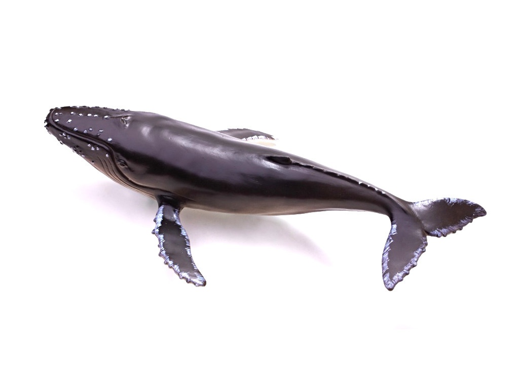 

Игрушка Игрушка Recur Горбатый кит 29.5cm RC16098S, RC16098S
