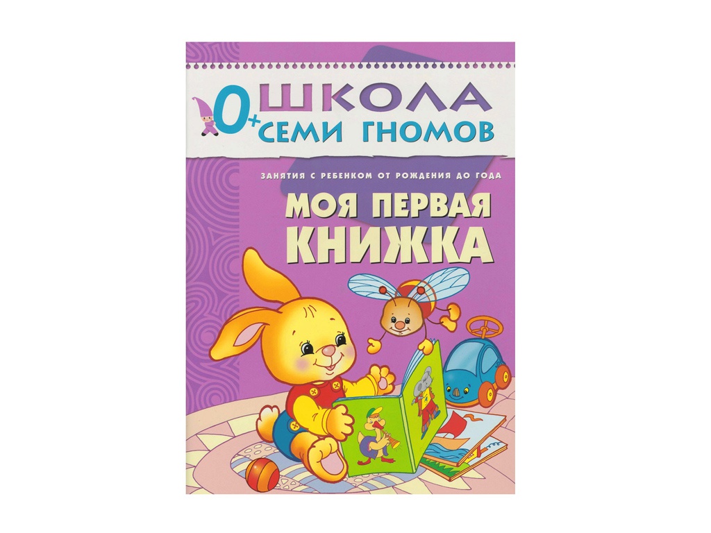 

Пособие Мозаика-Синтез Школа семи гномов Первый год обучения. Моя первая книжка. МС00203, Моя первая книжка.