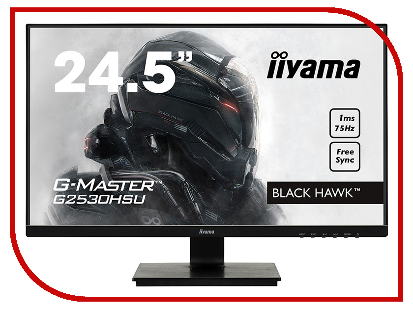 

Монитор Iiyama G-Master G2530HSU-1, G2530HSU-1