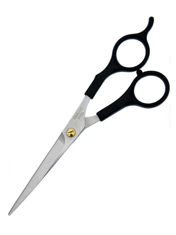 Ножницы Katachi Basic Cut 5.5 K0155