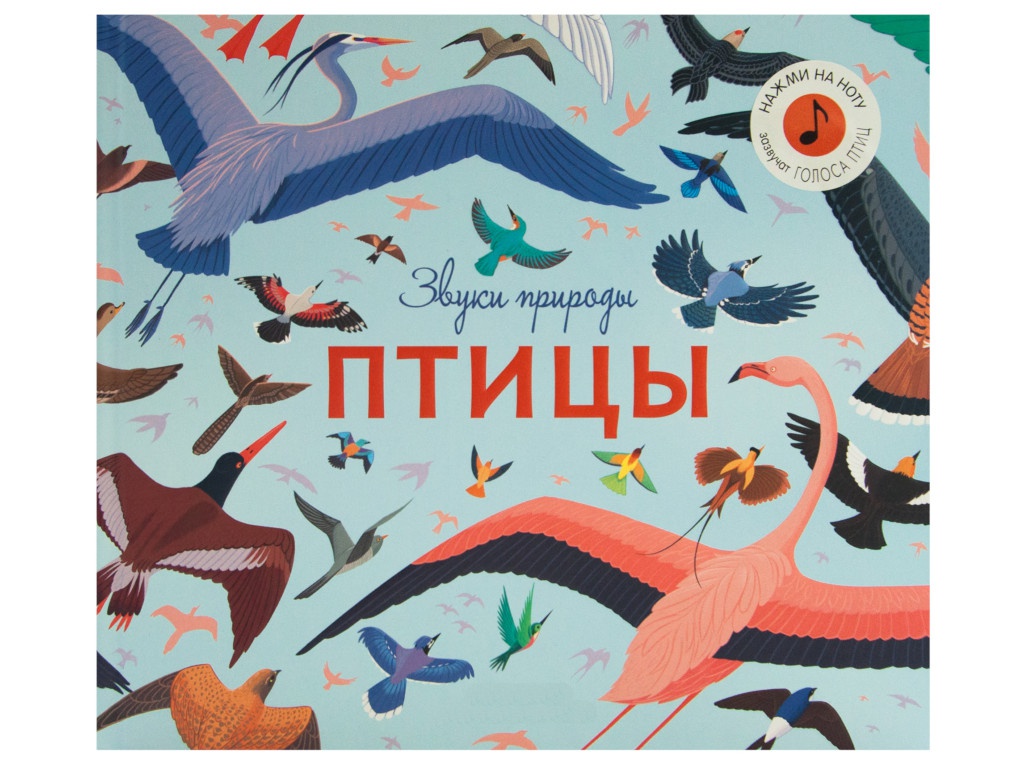 

Пособие Книжка Мозаика-Синтез Звуки природы. Птицы МС11481, Птицы