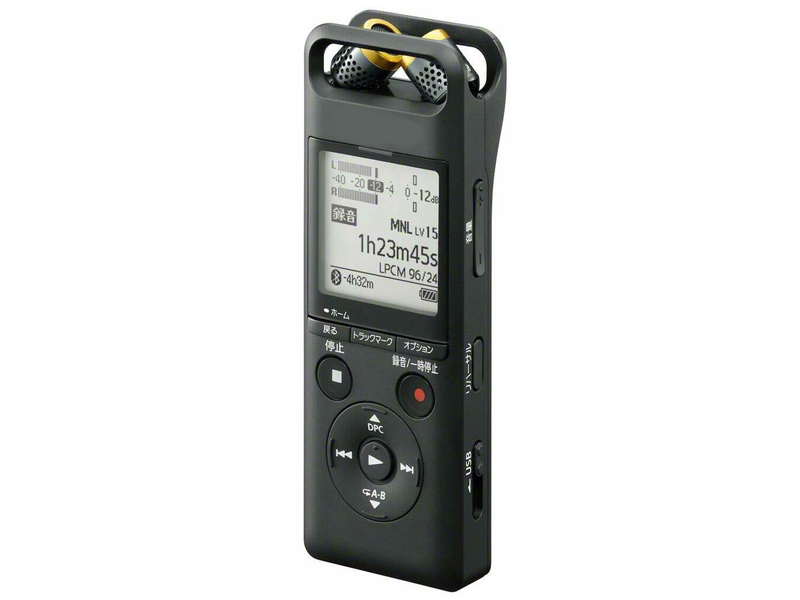 

Диктофон Sony PCM-A10, PCM-A10