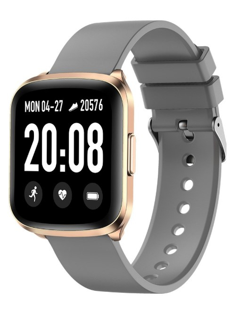 

Умные часы KingWear KW03 Grey-Gold, KW03